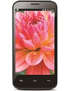 Iris 505