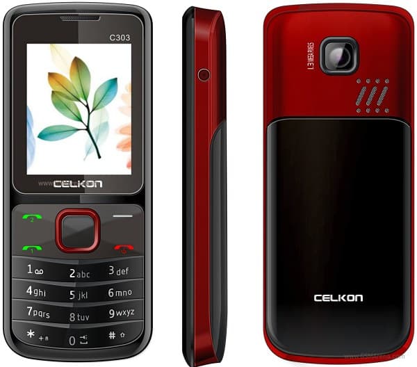 C303