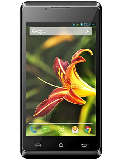 Iris 401
