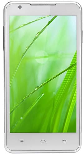 Iris 503