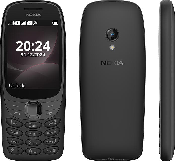 6310 (2024)