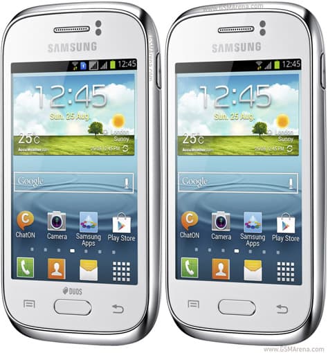 Galaxy Young S6310
