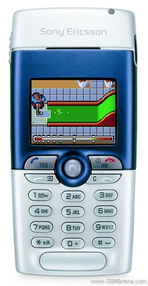 T310
