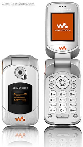 W300