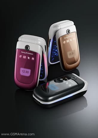 Z310