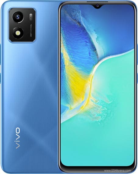 Y01