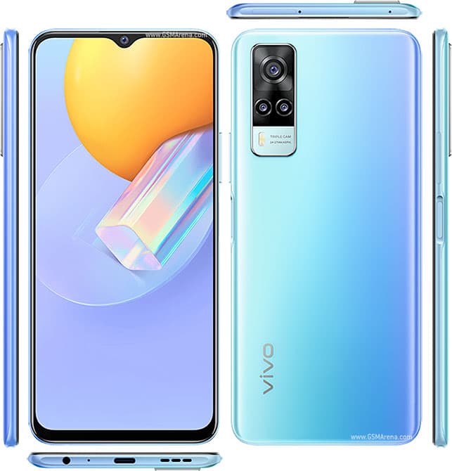 Y31 (2021)