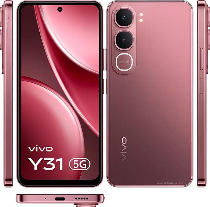 Y31
