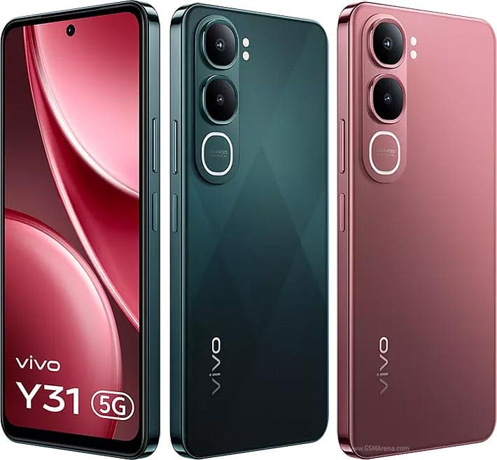 Y31 2