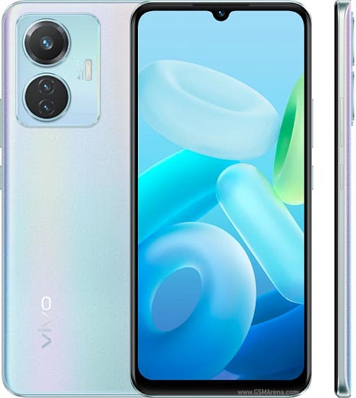 Y55