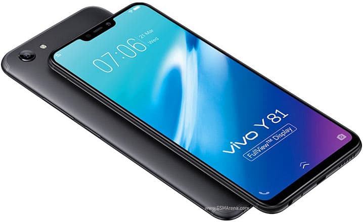 Y81 3