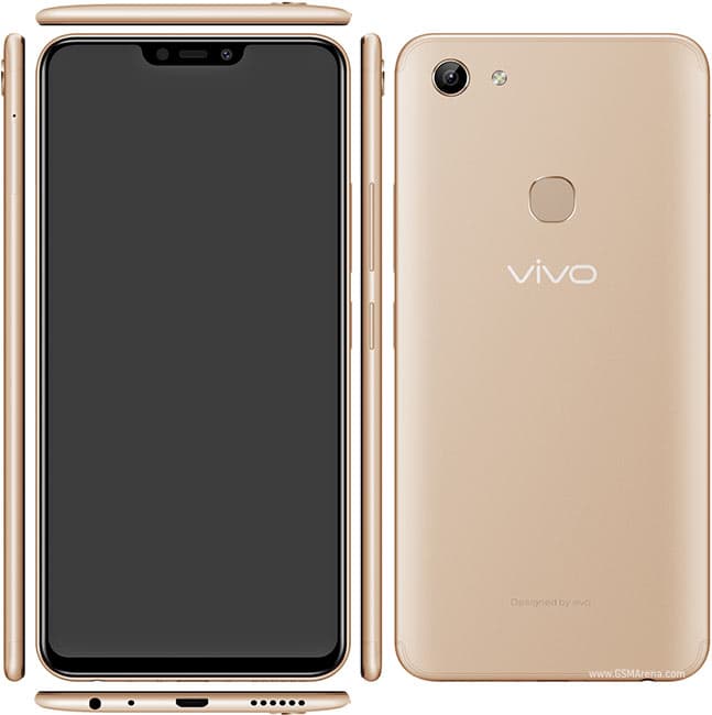 Y81 2